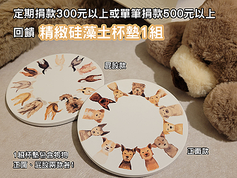 硅藻土杯墊1組🎁