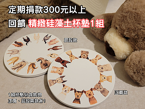 硅藻土杯墊1組🎁