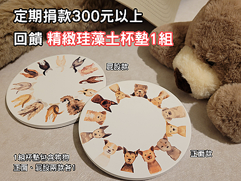 珪藻土杯墊1組🎁